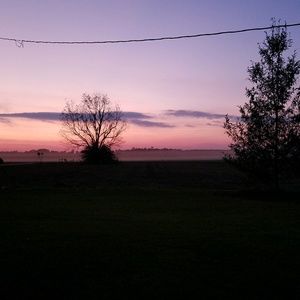 Meet your Posher, Bobby